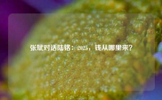 张斌对话陆铭：2025，钱从哪里来？