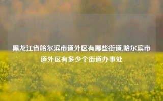 黑龙江省哈尔滨市道外区有哪些街道,哈尔滨市道外区有多少个街道办事处