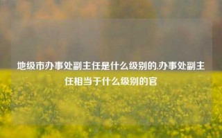 地级市办事处副主任是什么级别的,办事处副主任相当于什么级别的官