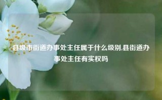 县级市街道办事处主任属于什么级别,县街道办事处主任有实权吗