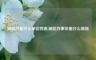 城区办是什么单位性质,城区办事处是什么级别