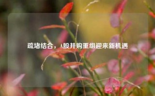 疏堵结合，A股并购重组迎来新机遇