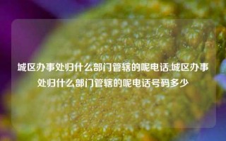 城区办事处归什么部门管辖的呢电话,城区办事处归什么部门管辖的呢电话号码多少