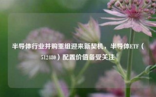 半导体行业并购重组迎来新契机，半导体ETF（512480）配置价值备受关注