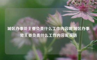 城区办事处主要负责什么工作内容呢,城区办事处主要负责什么工作内容呢英语