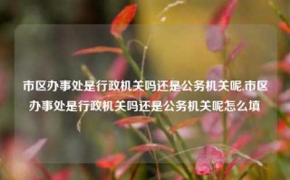 市区办事处是行政机关吗还是公务机关呢,市区办事处是行政机关吗还是公务机关呢怎么填