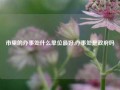 市里的办事处什么单位最好,办事处是政府吗