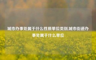 城市办事处属于什么性质单位类别,城市街道办事处属于什么单位