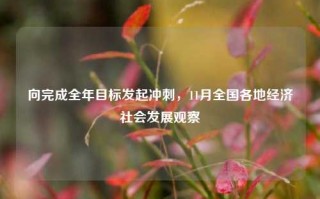 向完成全年目标发起冲刺，11月全国各地经济社会发展观察