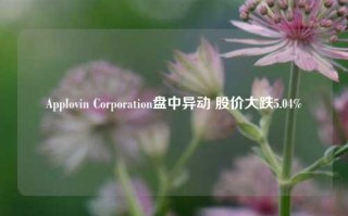 Applovin Corporation盘中异动 股价大跌5.04%