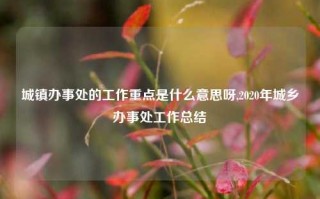 城镇办事处的工作重点是什么意思呀,2020年城乡办事处工作总结