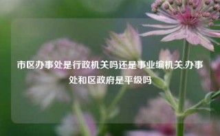 市区办事处是行政机关吗还是事业编机关,办事处和区政府是平级吗