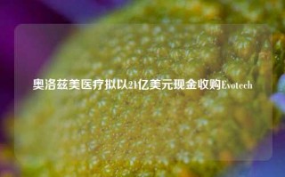 奥洛兹美医疗拟以21亿美元现金收购Evotech