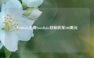 Wedbush上调Snowflake目标价至160美元