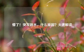 懵了！突发跳水，什么原因？火速解读