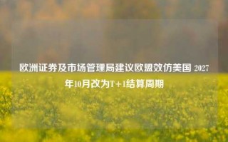 欧洲证券及市场管理局建议欧盟效仿美国 2027年10月改为T+1结算周期