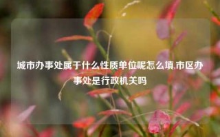 城市办事处属于什么性质单位呢怎么填,市区办事处是行政机关吗