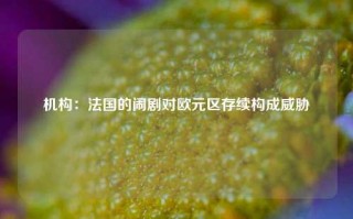 机构：法国的闹剧对欧元区存续构成威胁