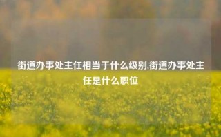 街道办事处主任相当于什么级别,街道办事处主任是什么职位