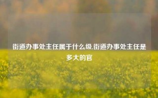 街道办事处主任属于什么级,街道办事处主任是多大的官