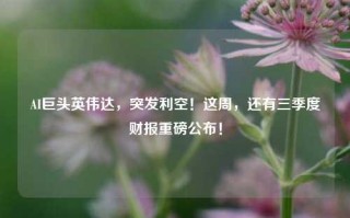 AI巨头英伟达，突发利空！这周，还有三季度财报重磅公布！