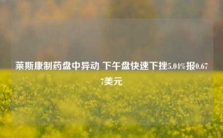 莱斯康制药盘中异动 下午盘快速下挫5.04%报0.677美元