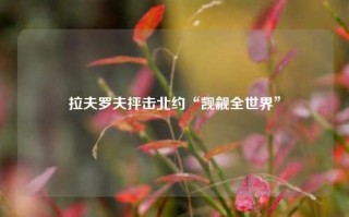 拉夫罗夫抨击北约“觊觎全世界”