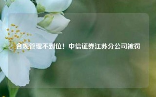 合规管理不到位！中信证券江苏分公司被罚