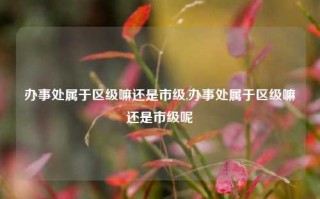 办事处属于区级嘛还是市级,办事处属于区级嘛还是市级呢