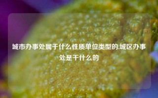 城市办事处属于什么性质单位类型的,城区办事处是干什么的