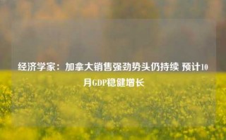 经济学家：加拿大销售强劲势头仍持续 预计10月GDP稳健增长