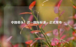 中国牵头！这一国际标准，正式发布→