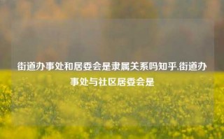 街道办事处和居委会是隶属关系吗知乎,街道办事处与社区居委会是