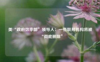 美“政府效率部”领导人：一些联邦机构将被“彻底删除”