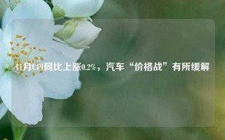 11月CPI同比上涨0.2%，汽车“价格战”有所缓解