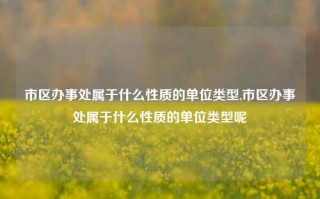 市区办事处属于什么性质的单位类型,市区办事处属于什么性质的单位类型呢