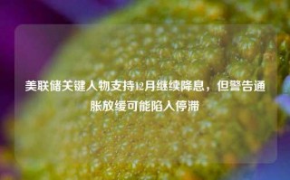 美联储关键人物支持12月继续降息，但警告通胀放缓可能陷入停滞