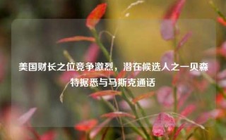 美国财长之位竞争激烈，潜在候选人之一贝森特据悉与马斯克通话