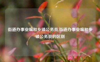 街道办事业编和乡镇公务员,街道办事业编和乡镇公务员的区别