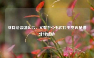 继特朗普团队后，又有至少五位民主党议员遭炸弹威胁