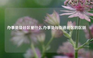 办事处及社区是什么,办事处与街道社区的区别