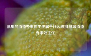 县里的街道办事处主任属于什么级别,县城街道办事处主任