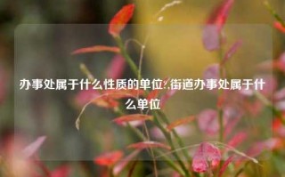 办事处属于什么性质的单位?,街道办事处属于什么单位