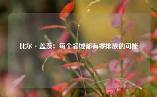 比尔·盖茨：每个领域都有零排放的可能