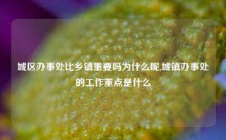 城区办事处比乡镇重要吗为什么呢,城镇办事处的工作重点是什么