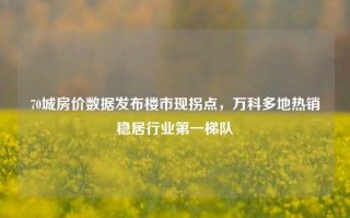 70城房价数据发布楼市现拐点，万科多地热销稳居行业第一梯队