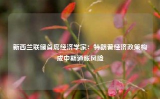 新西兰联储首席经济学家：特朗普经济政策构成中期通胀风险