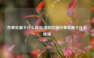 办事处属于什么级别,深圳街道办事处属于什么级别