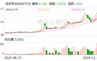 宜宾纸业：子公司拟投建两项目 项目总投资合计5.4亿元