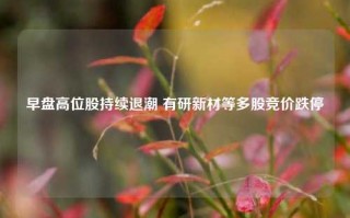 早盘高位股持续退潮 有研新材等多股竞价跌停